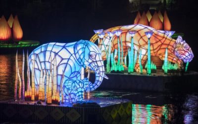 Rivers of Light Finally Sets Sail at Disney’s Animal Kingdom