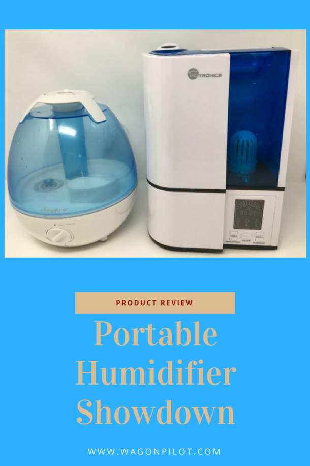 Portable Humidifier Review