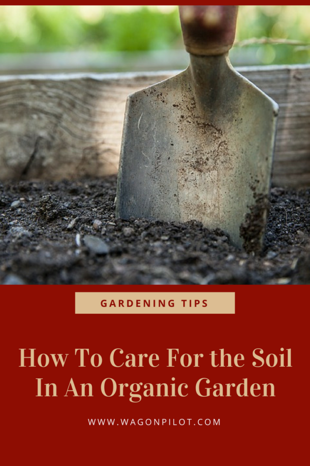 How To Care For the Soil In An Organic Garden