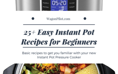 25+ Easy Instant Pot Recipes for Beginners