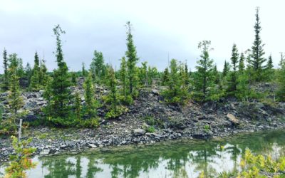 Fossil Hunting at Rockport Michigan State Recreation Area