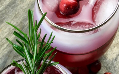 Cinnamon and Cumin-Infused Cranberry Spritzer