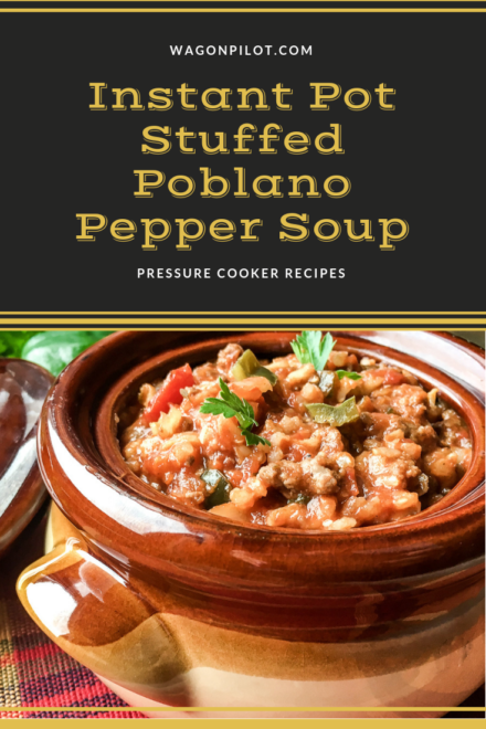 Instant Pot Stuffed Poblano Pepper Soup - Wagon Pilot Adventures