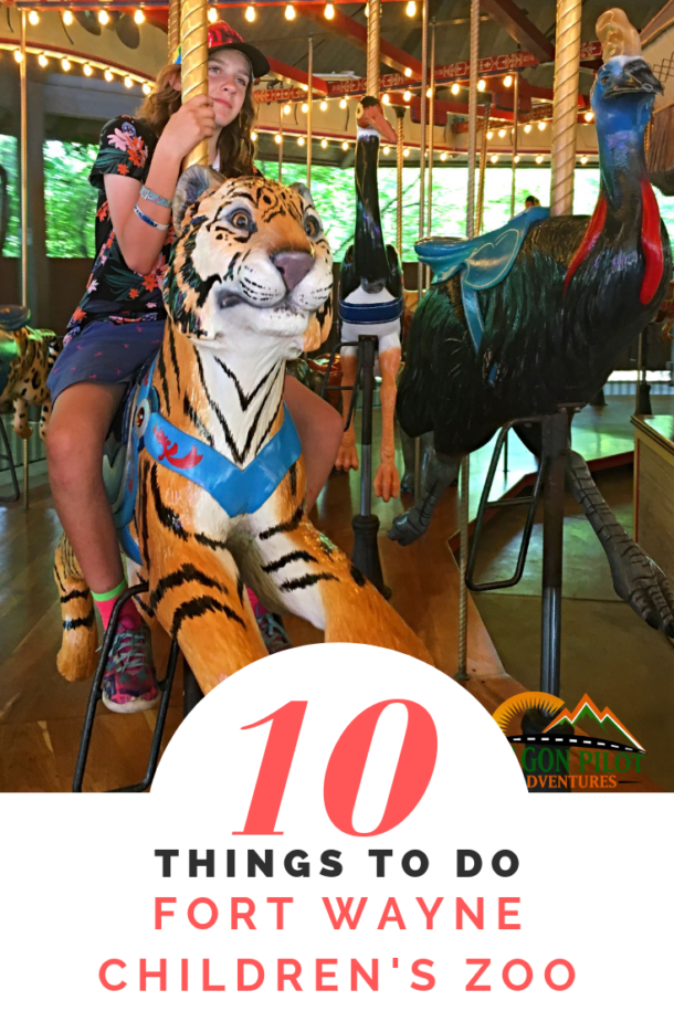 10 Fun And Unique Things To Do At The Fort Wayne Children's Zoo