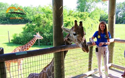 10 Fun and Unique Things to do at the Fort Wayne Children’s Zoo