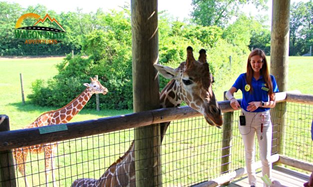 10 Fun and Unique Things to do at the Fort Wayne Children’s Zoo