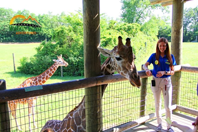 Fort Wayne Children's Zoo © Wagon Pilot Adventures