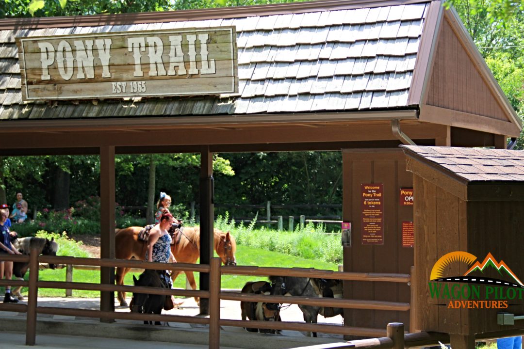 10 Fun And Unique Things To Do At The Fort Wayne Children s Zoo