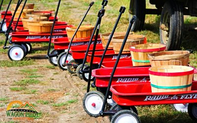 Tuttle Orchards has Evolved into a True Year Round Farm Serving the Local Community