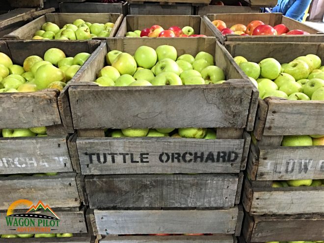 Tuttle Orchards © Wagon Pilot Adventures