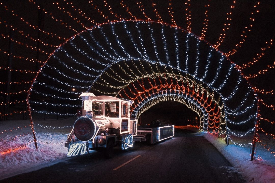 Best DriveThru Christmas Light Displays in Michigan