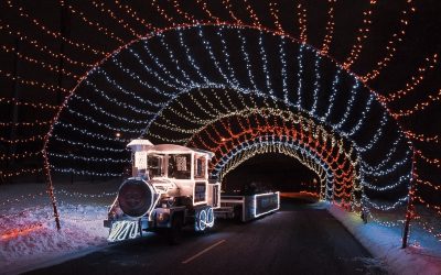 Best Drive-Thru Christmas Light Displays in Michigan