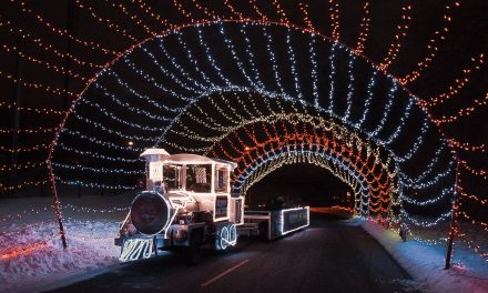 Best Drive-Thru Christmas Light Displays in Michigan