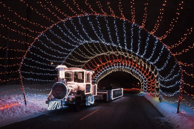 Túnel del espectáculo navideño del parque de Comstock. Facebook