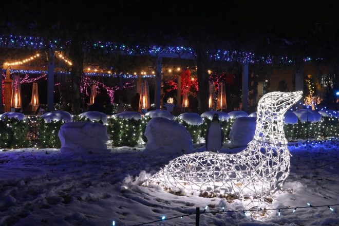 Detroit Zoo Wild Lights - Facebook