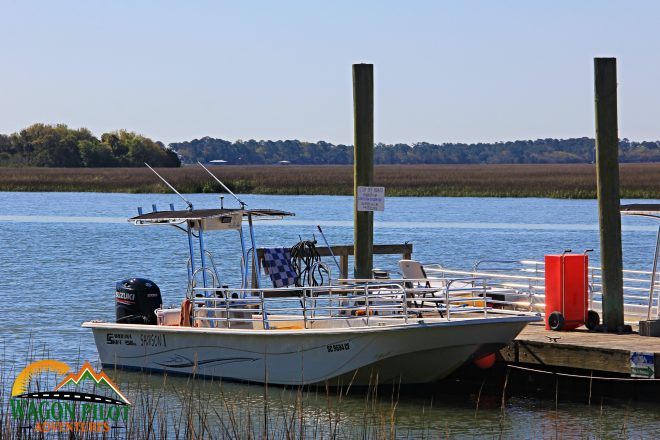 Tips for Making the Most of Your Dolphin Watching Cruise © Wagon Pilot Adventures