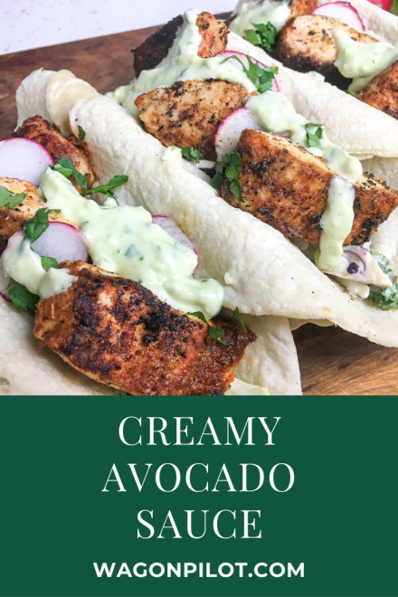 The fresh and light flavors of our Creamy Avocado Sauce makes it the perfect topping for any Mexican or Southwest dish from nachos to fish tacos.
