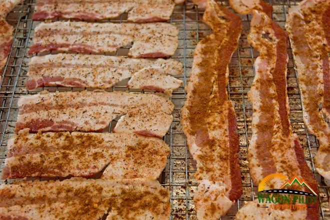 How to Cook Bacon in the Oven - Sugar Spun Run