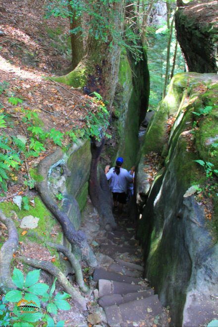 Hocking Hills Cantwell Cliffs Hiking Trail