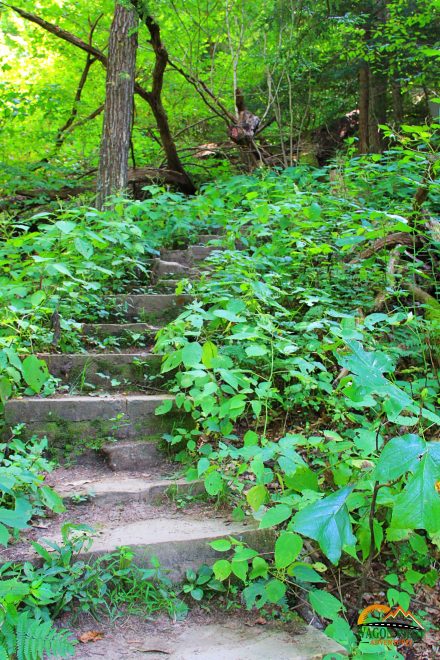 Hocking Hills Cantwell Cliffs Hiking Trail