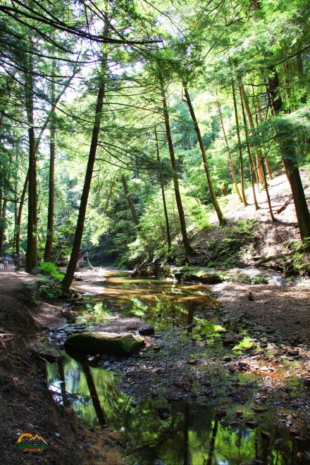 Hocking Hills Cedar Falls Hiking Trail