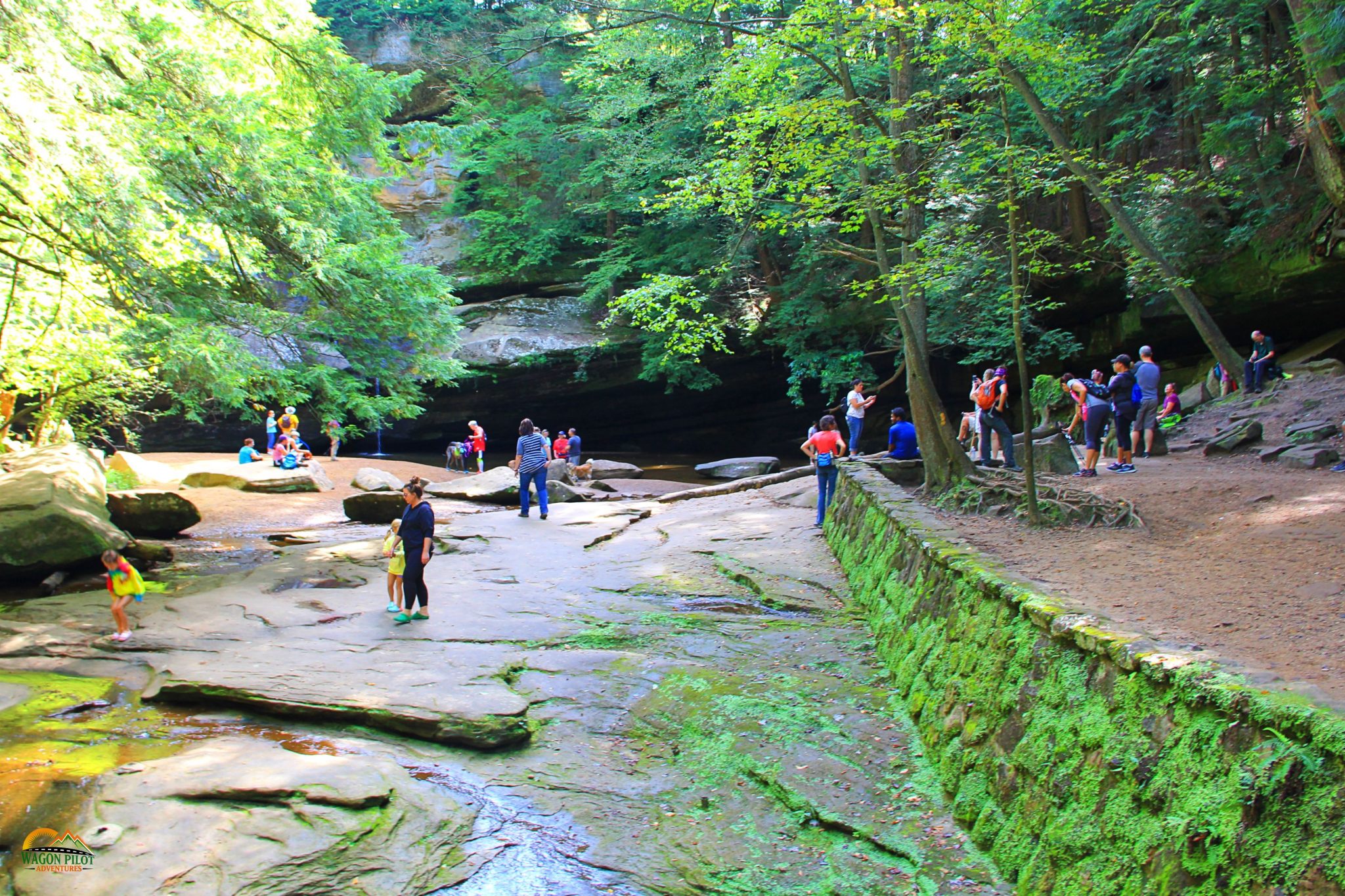 Hocking Hills State Park Cedar Falls Hiking Trail