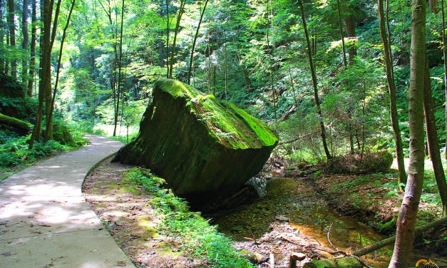 Hocking Hills Conkles Hollow Nature Preserve Hiking Trail