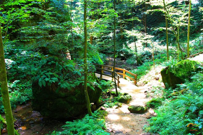 Hocking Hills Conkles Hollow Hiking Trail