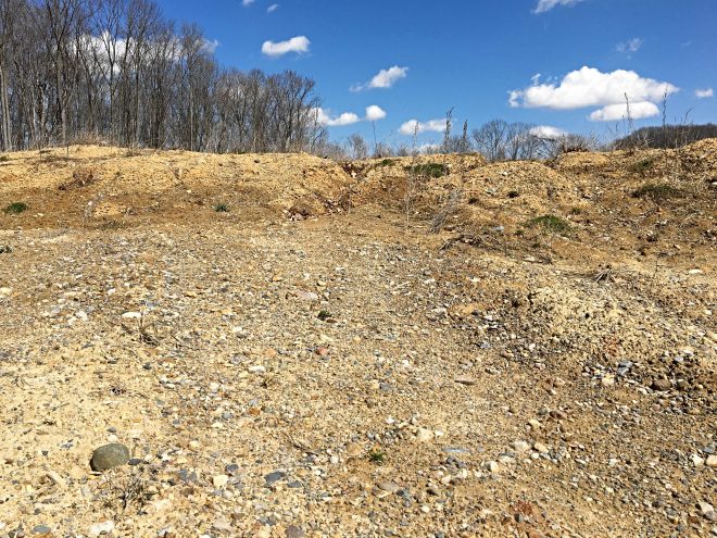 Rock and fossil hunting near home